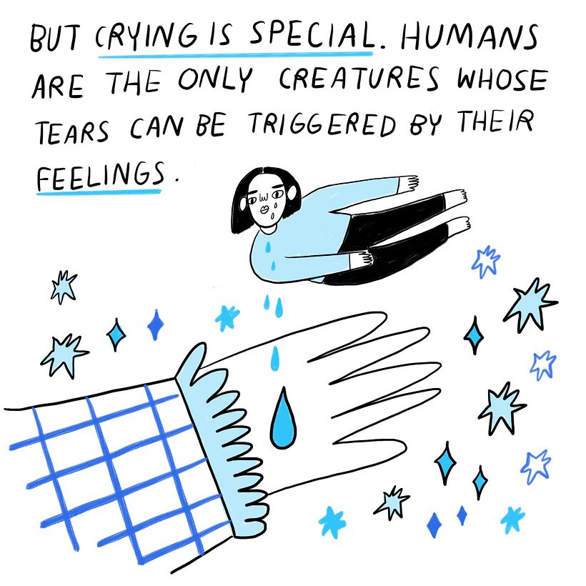 The Crying Diaries for The Washington Post 9