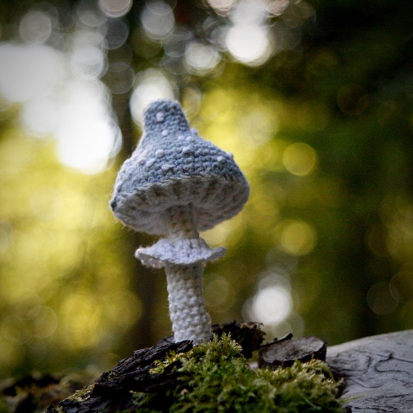Crochet mushrooms 5
