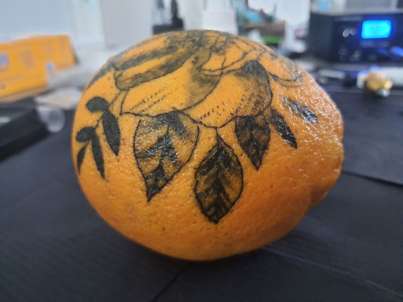 Ich liebe es wie die Blätter geworden sind.