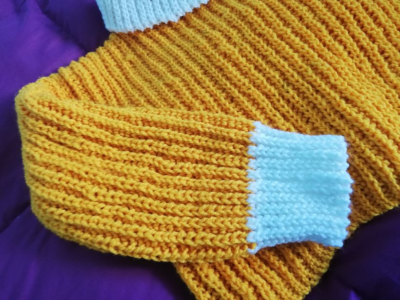Mi Proyecto del curso: Crochet: crea prendas con una sola aguja 2