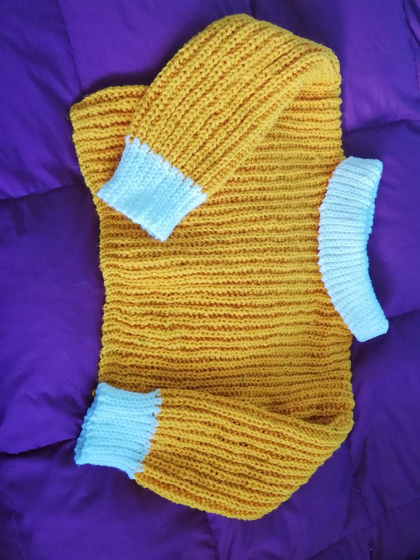 Mi Proyecto del curso: Crochet: crea prendas con una sola aguja 4