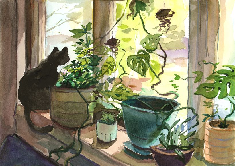 A study of my sister-in laws bay window, using techniques learned in this class! :)