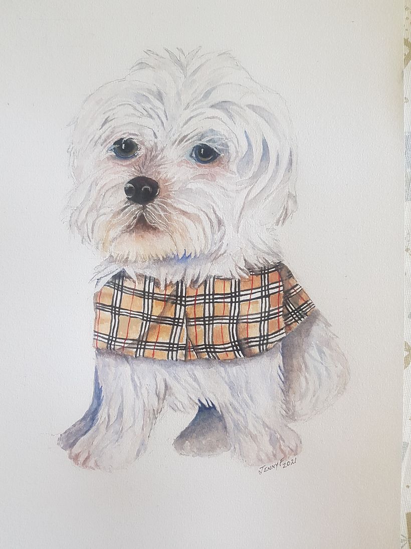 My project in Expressive Animal Portraits in Watercolor course 3