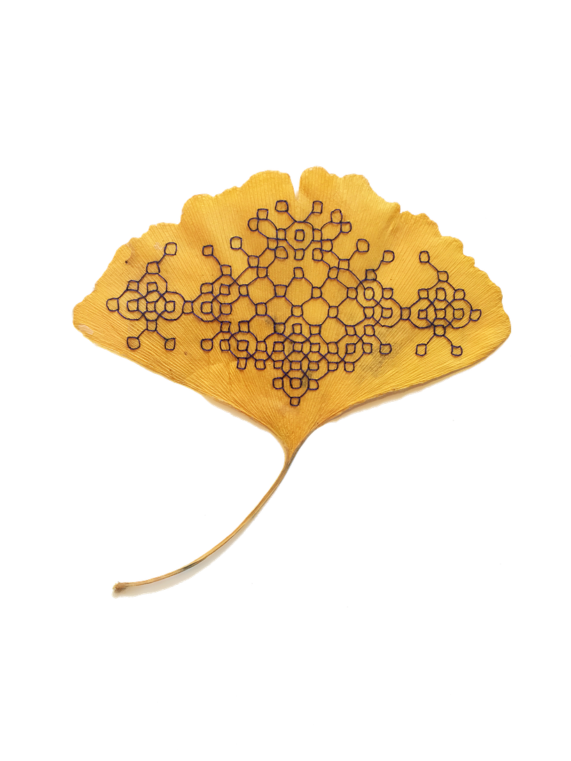 Embroidered Ginkgo Leaf