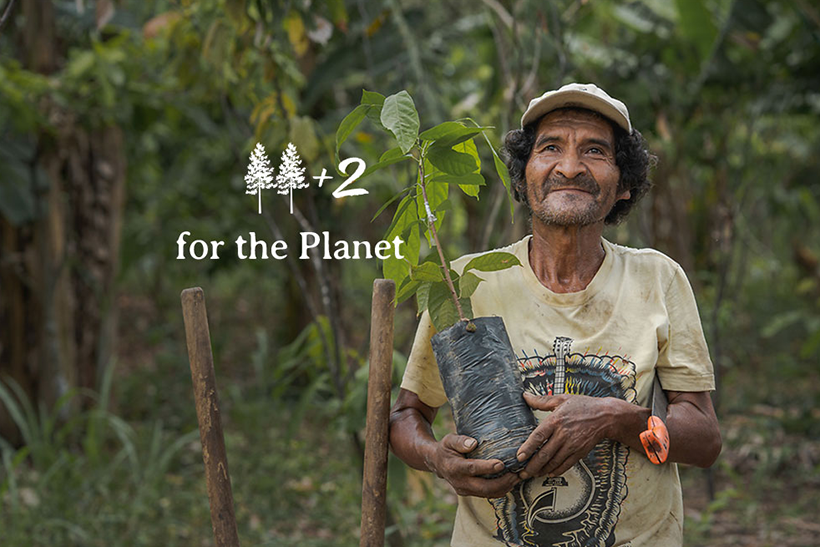 https://backtotheroots.es/reforestacion/
