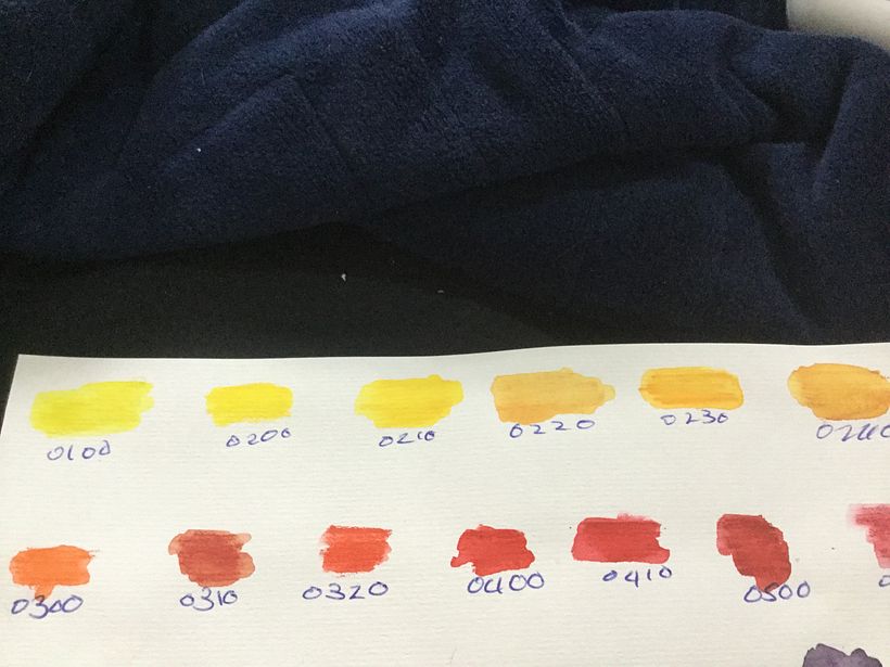 Colour swatch for flowers