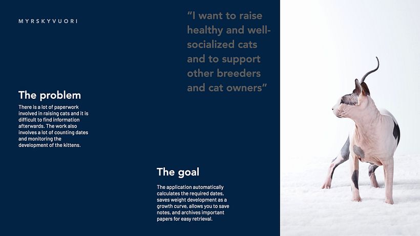 My project in Presentation Design: Create a Professional Template course 5