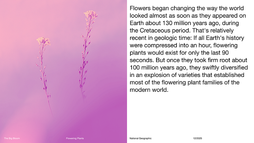 Pitch-Presentation Template Design 4