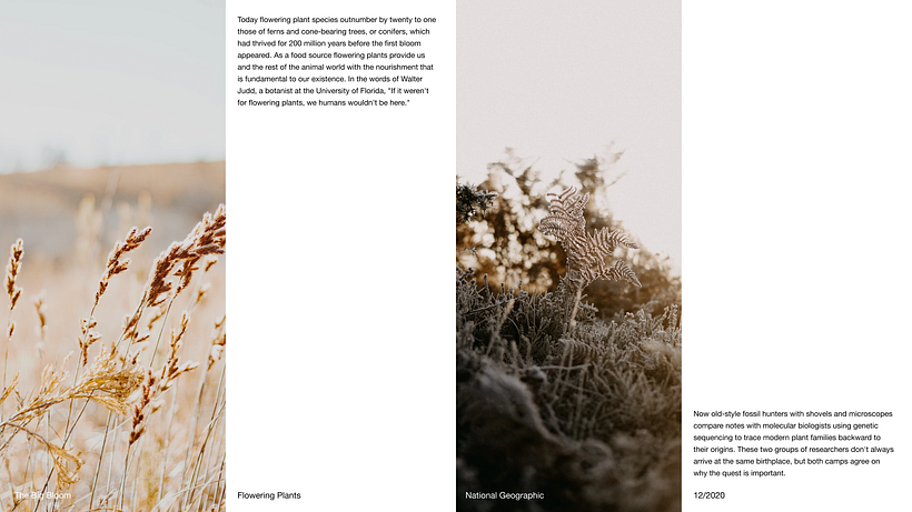 Pitch-Presentation Template Design 5