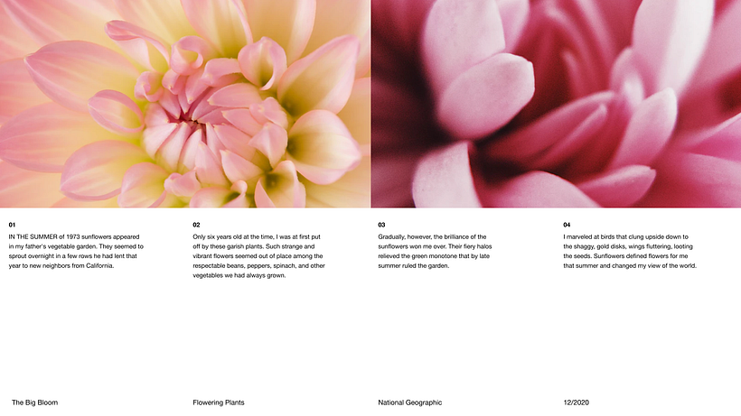 Pitch-Presentation Template Design 6