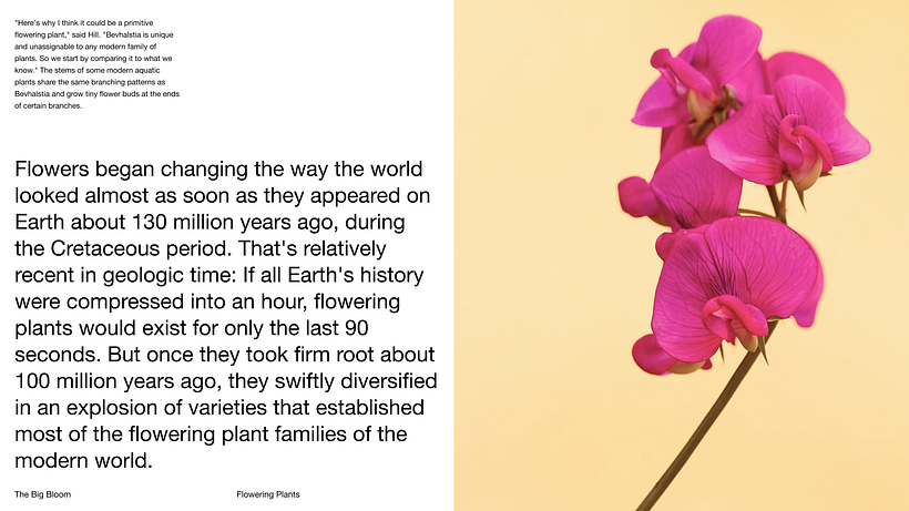 Pitch-Presentation Template Design 7