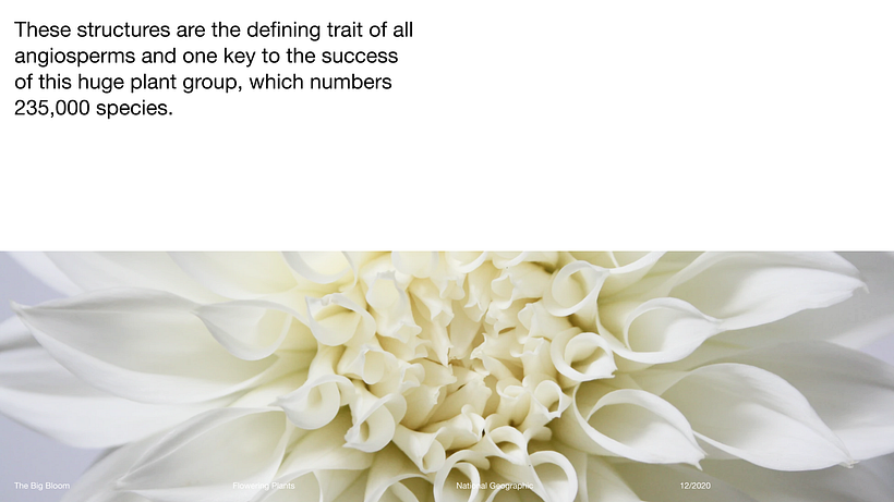 Pitch-Presentation Template Design 8