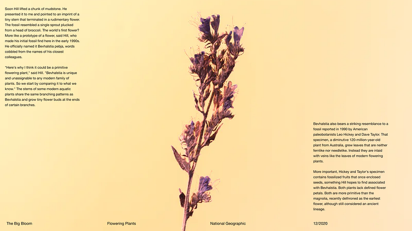 Pitch-Presentation Template Design 9