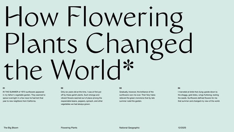 Pitch-Presentation Template Design 3