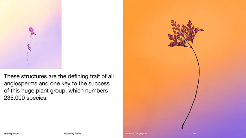 Pitch-Presentation Template Design 10