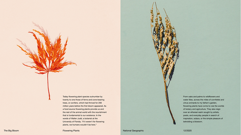 Pitch-Presentation Template Design 11