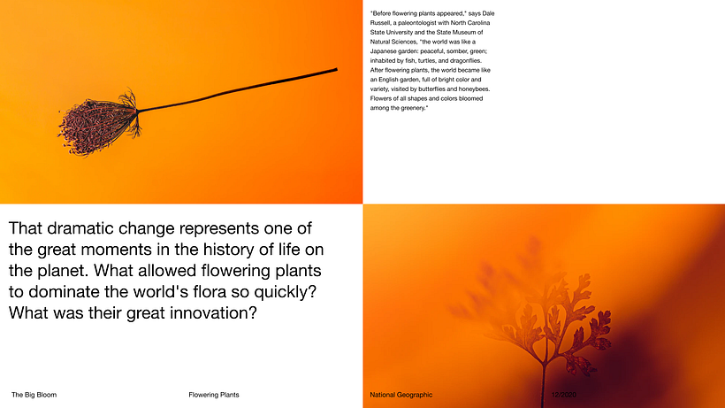 Pitch-Presentation Template Design 12