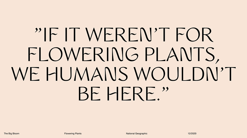 Pitch-Presentation Template Design 13