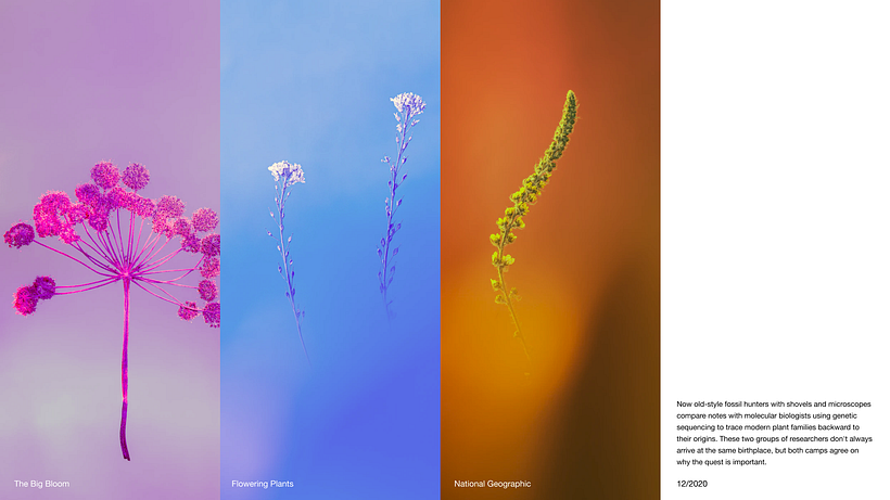 Pitch-Presentation Template Design 14