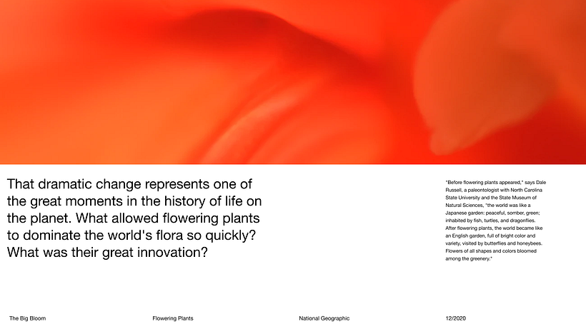 Pitch-Presentation Template Design 15