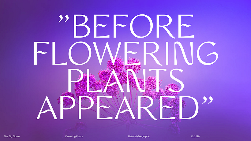 Pitch-Presentation Template Design 16