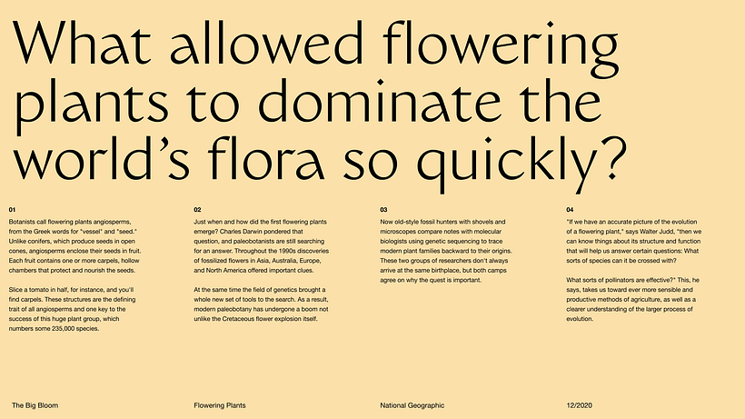 Pitch-Presentation Template Design 17