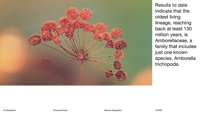 Pitch-Presentation Template Design 18