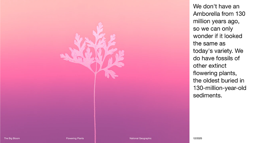 Pitch-Presentation Template Design 19