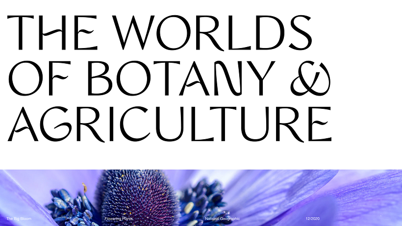 Pitch-Presentation Template Design 21