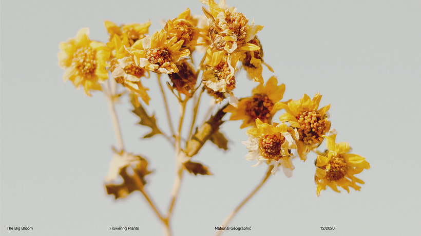 Pitch-Presentation Template Design 22