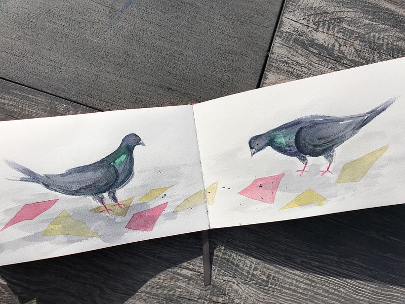 These pigeons were a little better. Link the abstract shapes in ‘rhubarb cake’ palette from earlier in book.