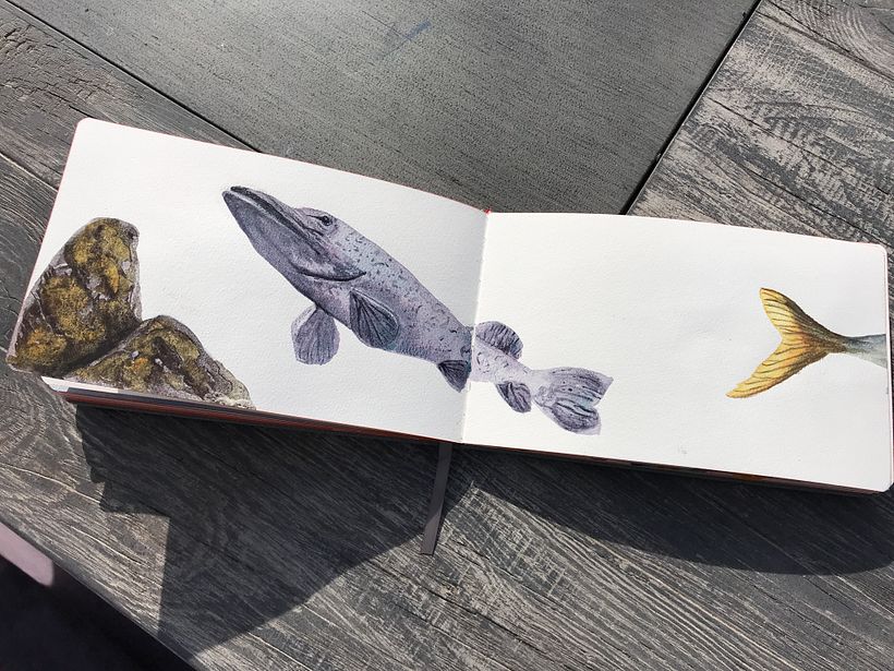 Abstract shapes turned into rocks, with a monochrome pike (there are fish earlier in the book too)