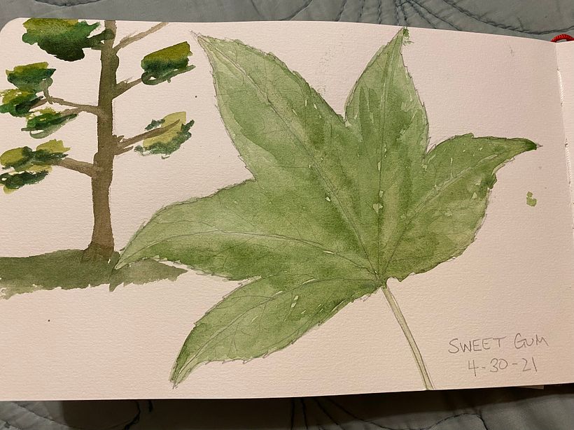 My project in Botanical Watercolor Sketchbook course 4
