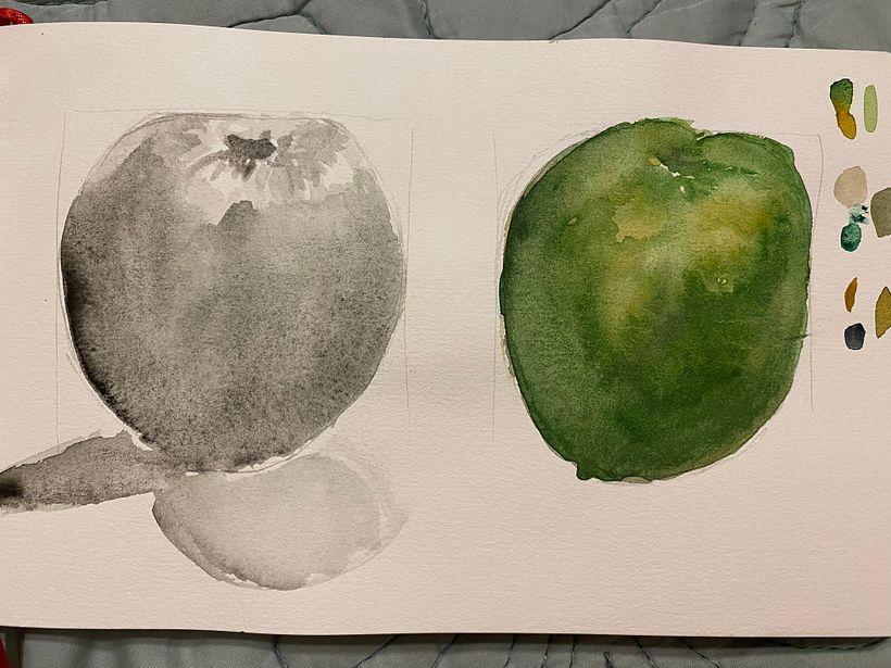 My project in Botanical Watercolor Sketchbook course 2