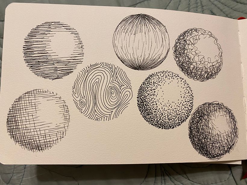 My project in Botanical Watercolor Sketchbook course 1