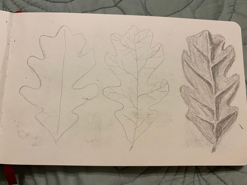 My project in Botanical Watercolor Sketchbook course 7