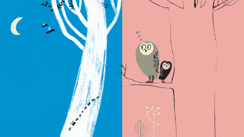 Catarina Sobral is an illustrator and author of children's books published in 15 languages.