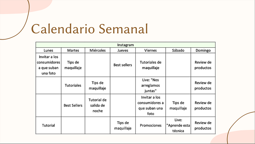 Mi Proyecto del curso: Introducción al community management 8