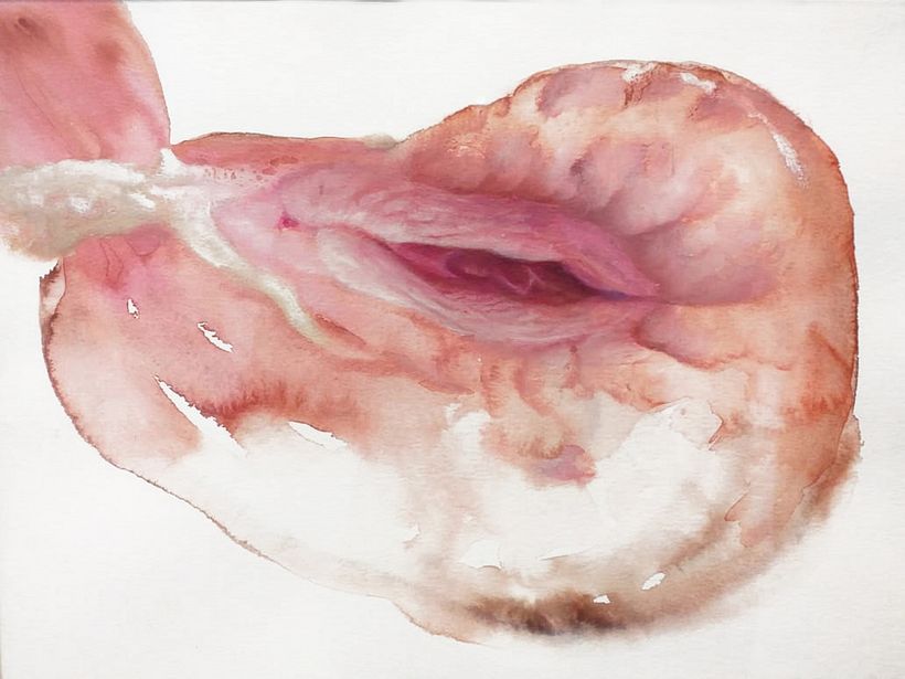 Rosa mística. Acuarelas. “Al ascender, Cúmulo Místico, se le veía entre las piernas la valva redonda y rodeada de pétalos, de coágulos, como una dalia de muchísimos pétalos. Había encontrado el camino al cielo.” Marosa di Giorgio 4