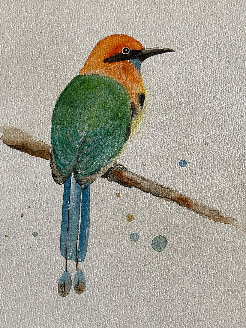 My project in Artistic Watercolor Techniques for Illustrating Birds course 2