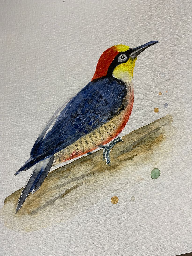 My project in Artistic Watercolor Techniques for Illustrating Birds course 2
