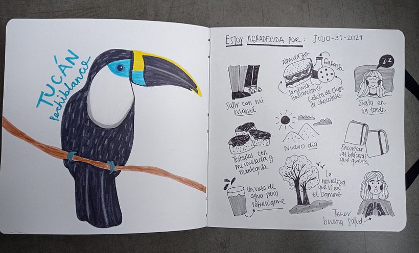 Mi Proyecto del curso: Diario ilustrado: una práctica diaria y consciente 2