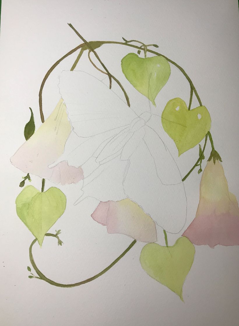 My project in Naturalist Illustrations with Watercolors: Drawing and Composition course 2