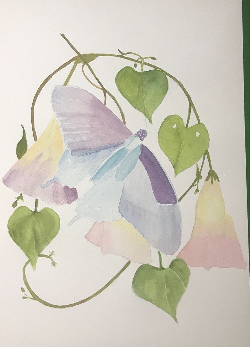 My project in Naturalist Illustrations with Watercolors: Drawing and Composition course 3