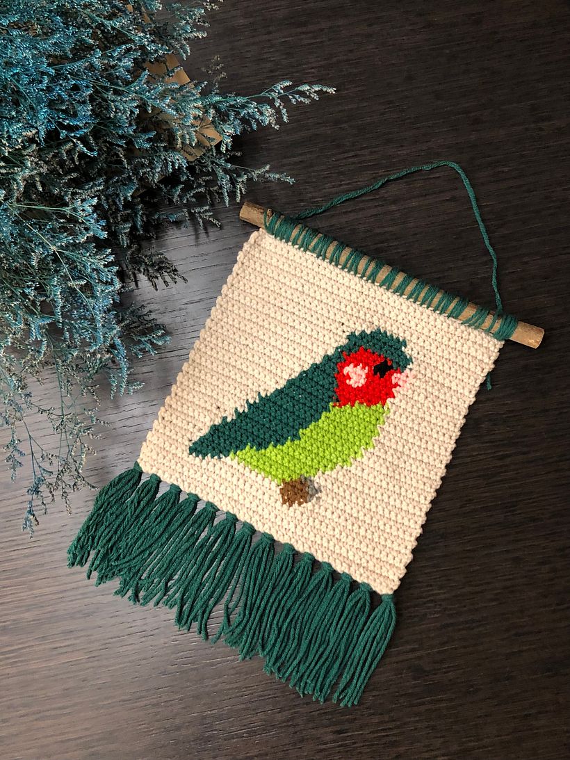 My project in Intarsia Crochet: Craft Your Own Tapestry course 1