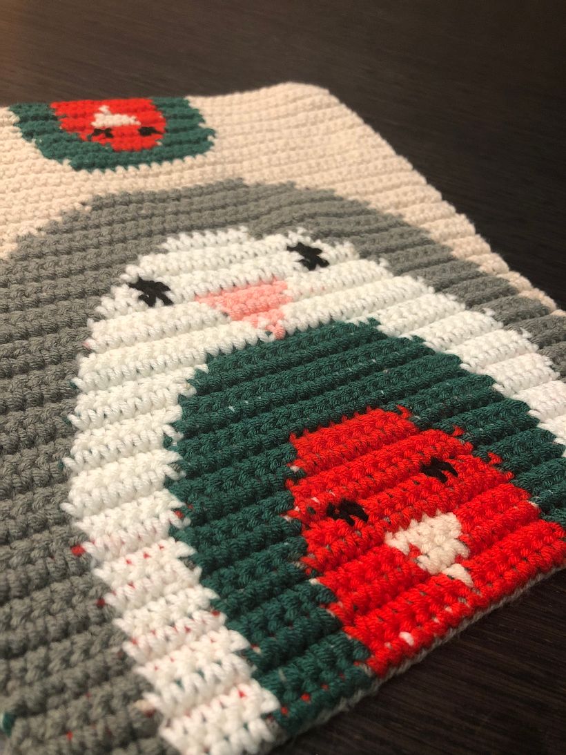 My project in Intarsia Crochet: Craft Your Own Tapestry course 6