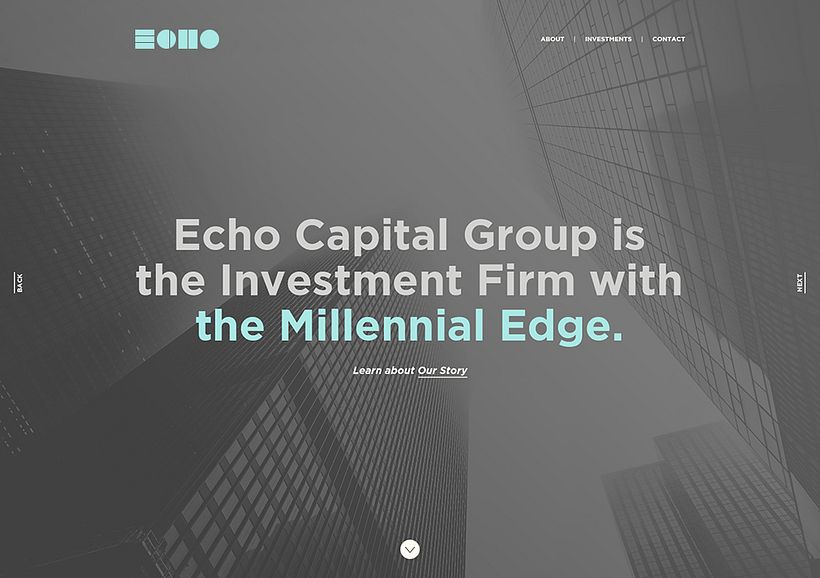 ECHO 25