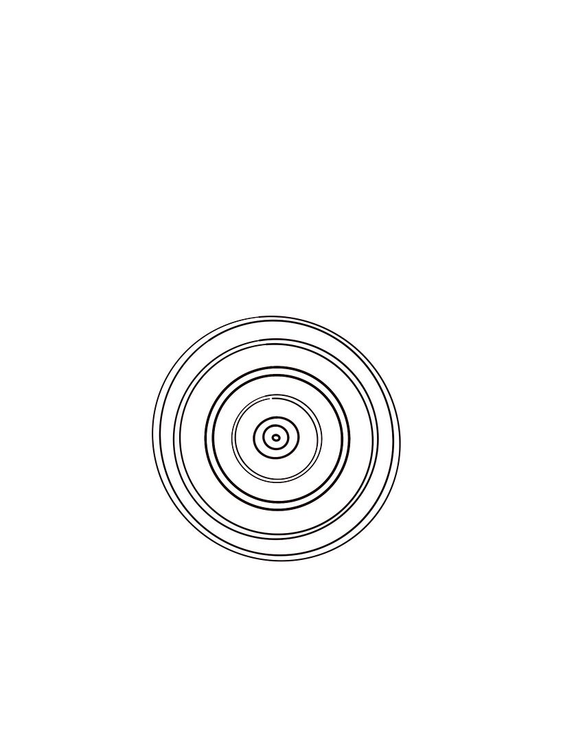 My project in The Art of Mandala Drawing: Create Geometric Patterns course 2