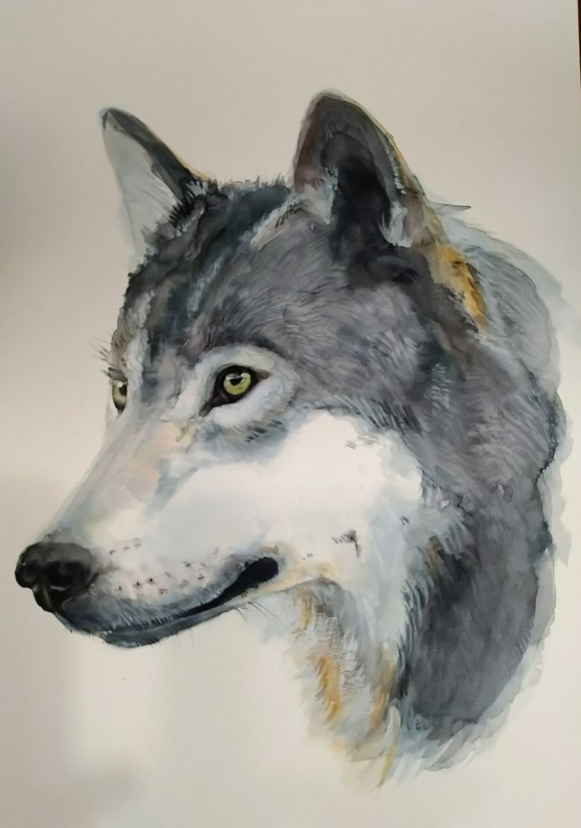 My project in Expressive Animal Portraits in Watercolor course 1