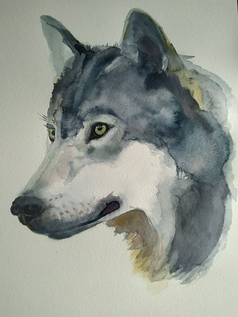 My project in Expressive Animal Portraits in Watercolor course 3